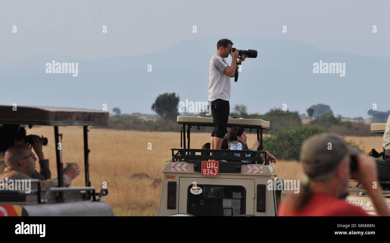 A man stood on a jeep on safari taking photographs of the wildlife Stock Photo