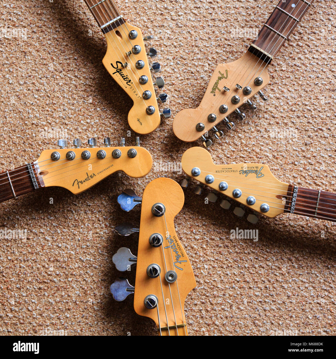 A selection of Fender guitar and bass headstocks on a carpet background. Shown are Stratocasters, a Precision P bass and a budget Squier guitar. Stock Photo