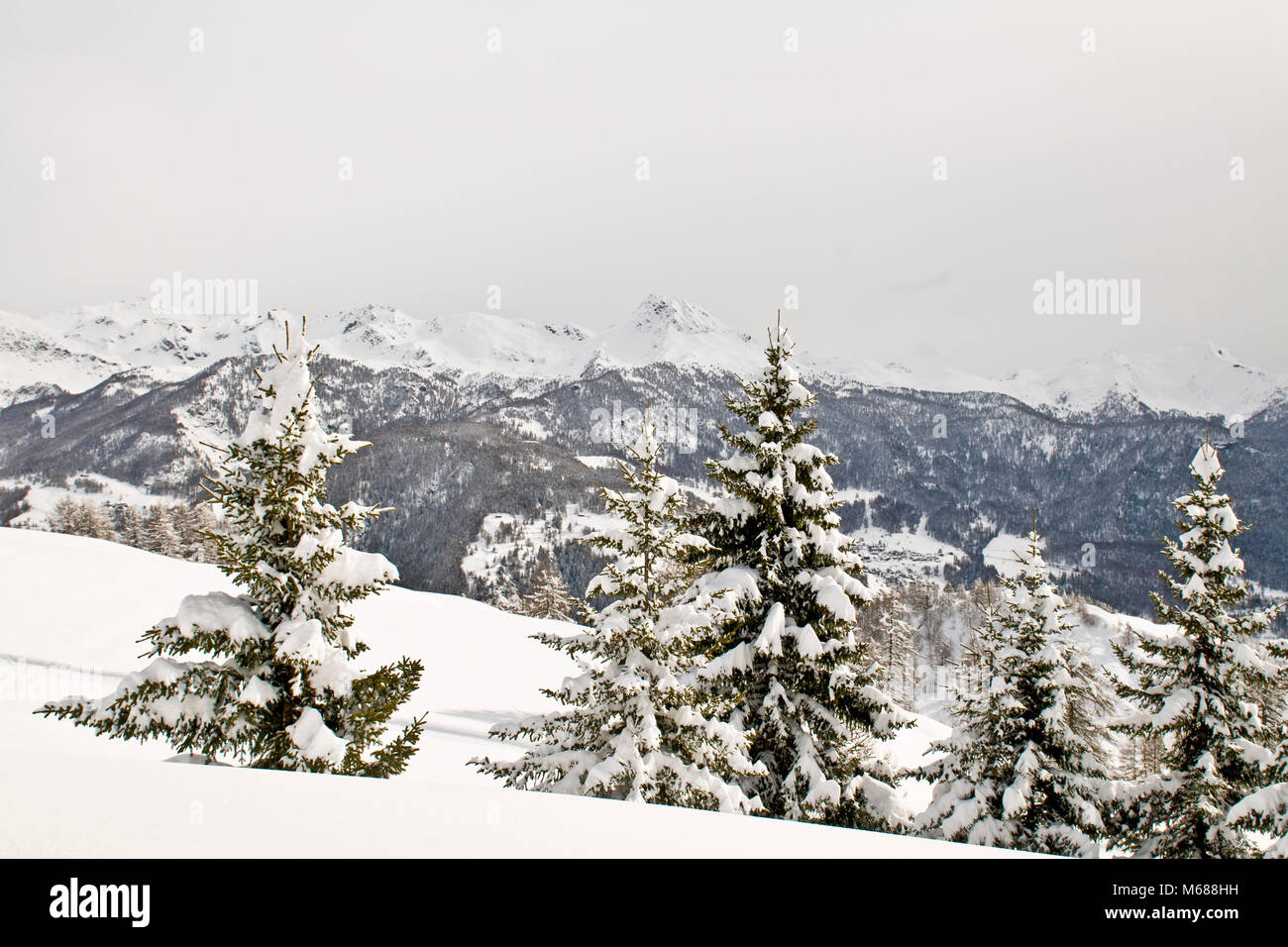 Winter landscapes, Torgnon, Aosta Valley, Italy Stock Photo