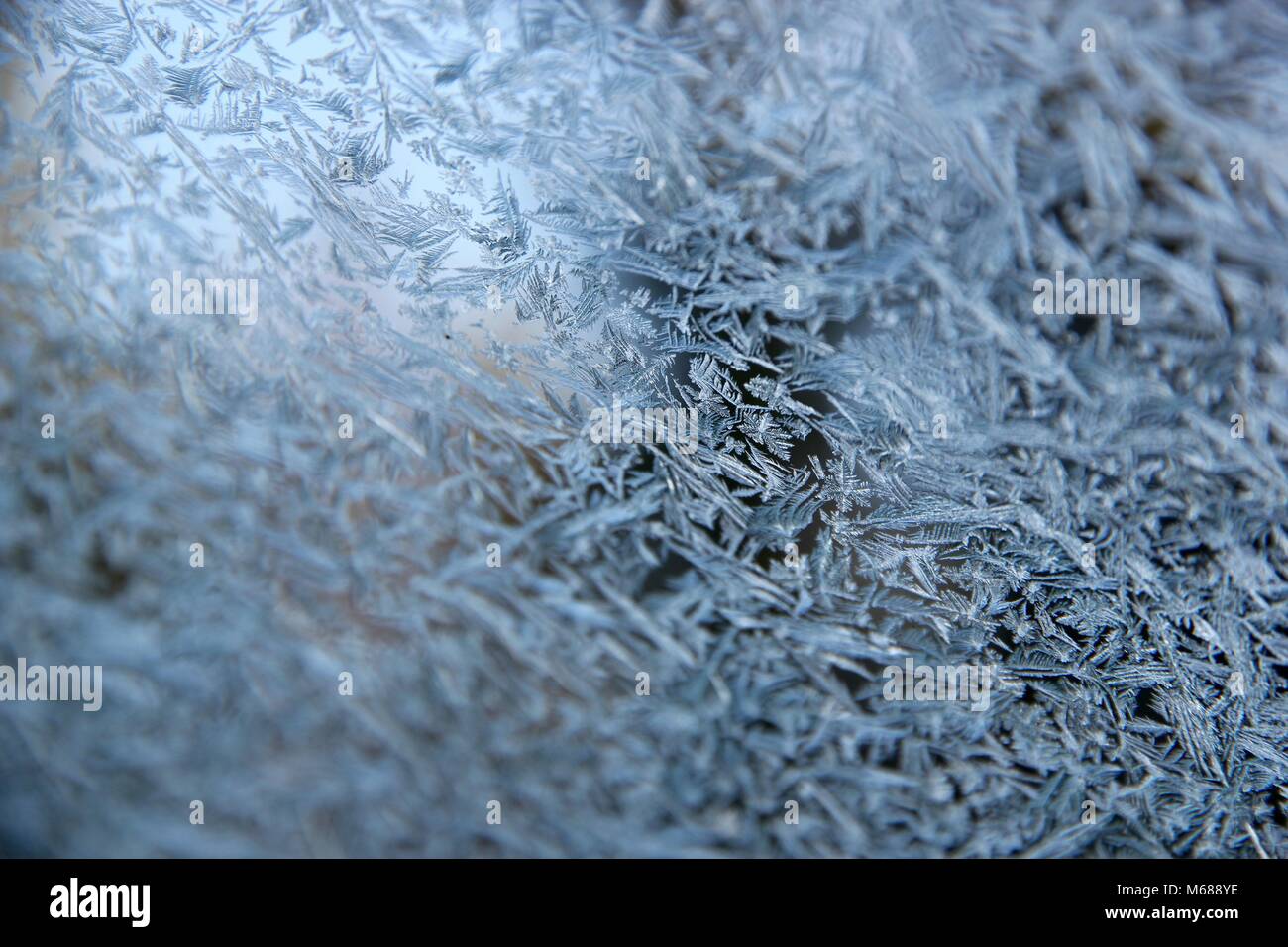 Window Snowflaking Snowflakes on a glass window Stock Photo - Alamy