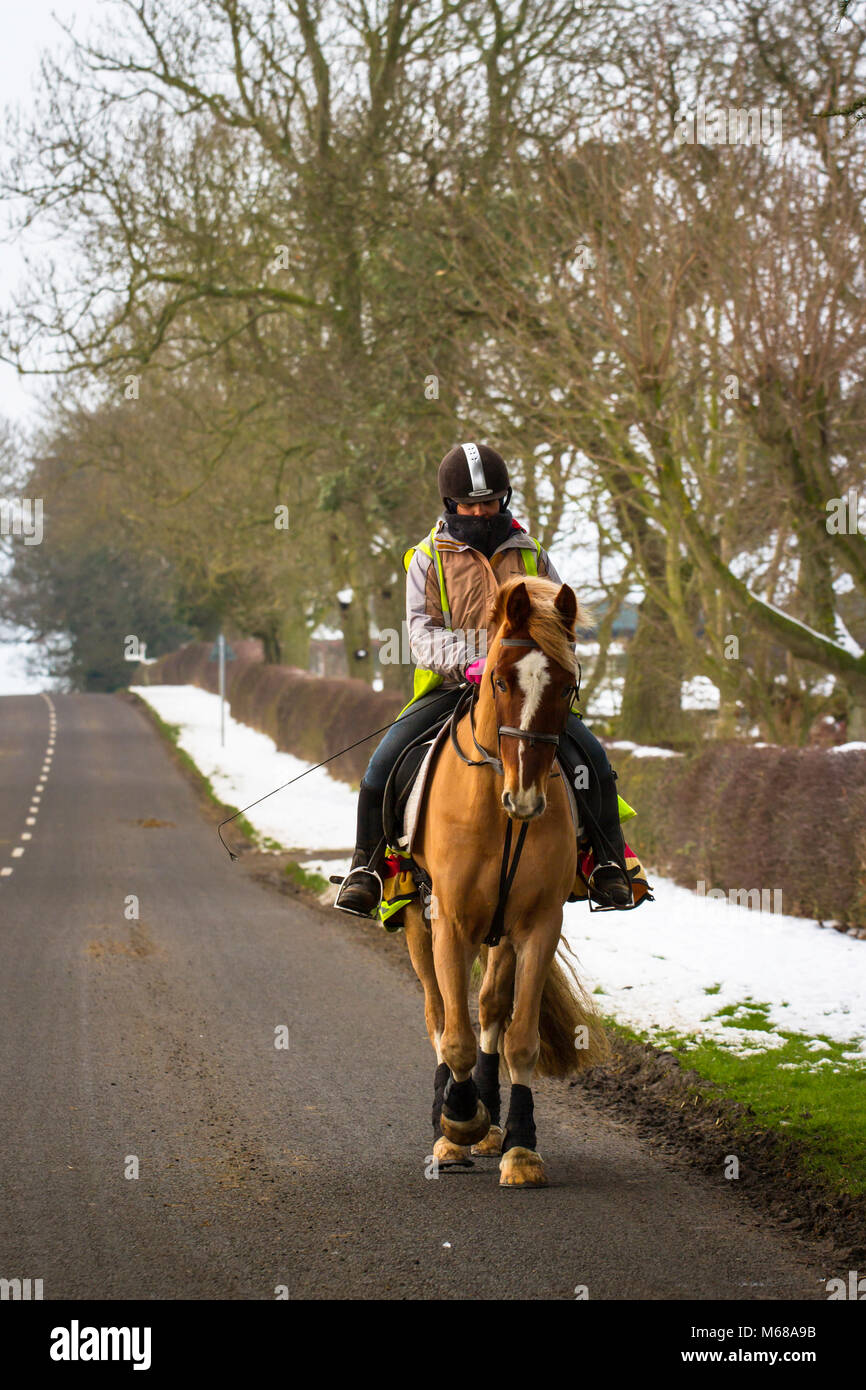 Hacking a Chestnut horse along a snowy lane. Stock Photo