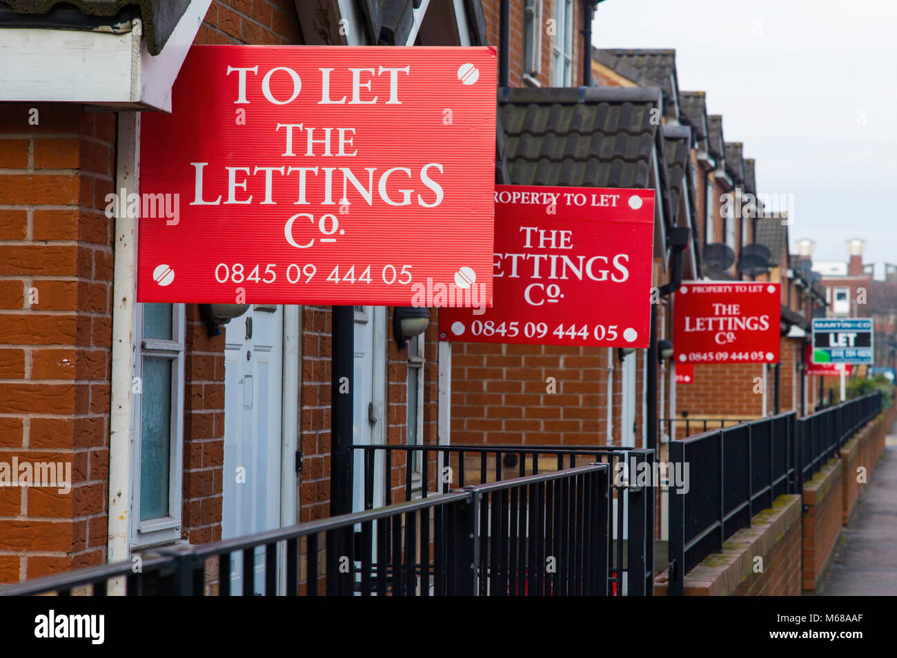 To let signs outside student accomodation in Leicester. Stock Photo