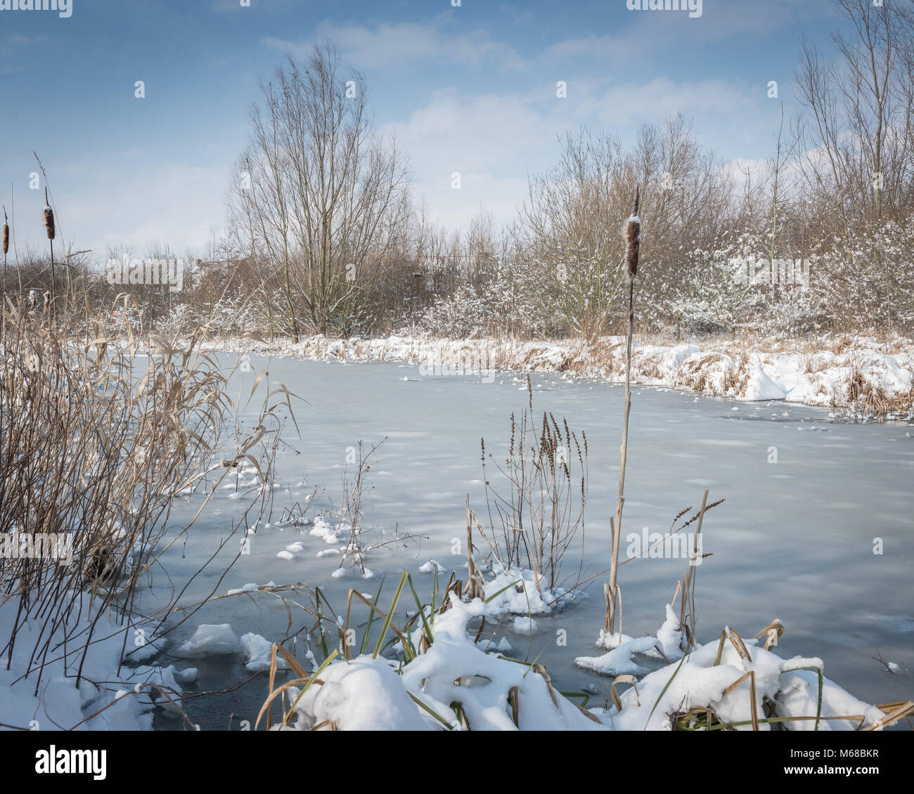 Winter 2018 and the cold weather front named The Beast From The East arrives in the Lincolnshire countryside, falling snow and freezing ponds. Stock Photo