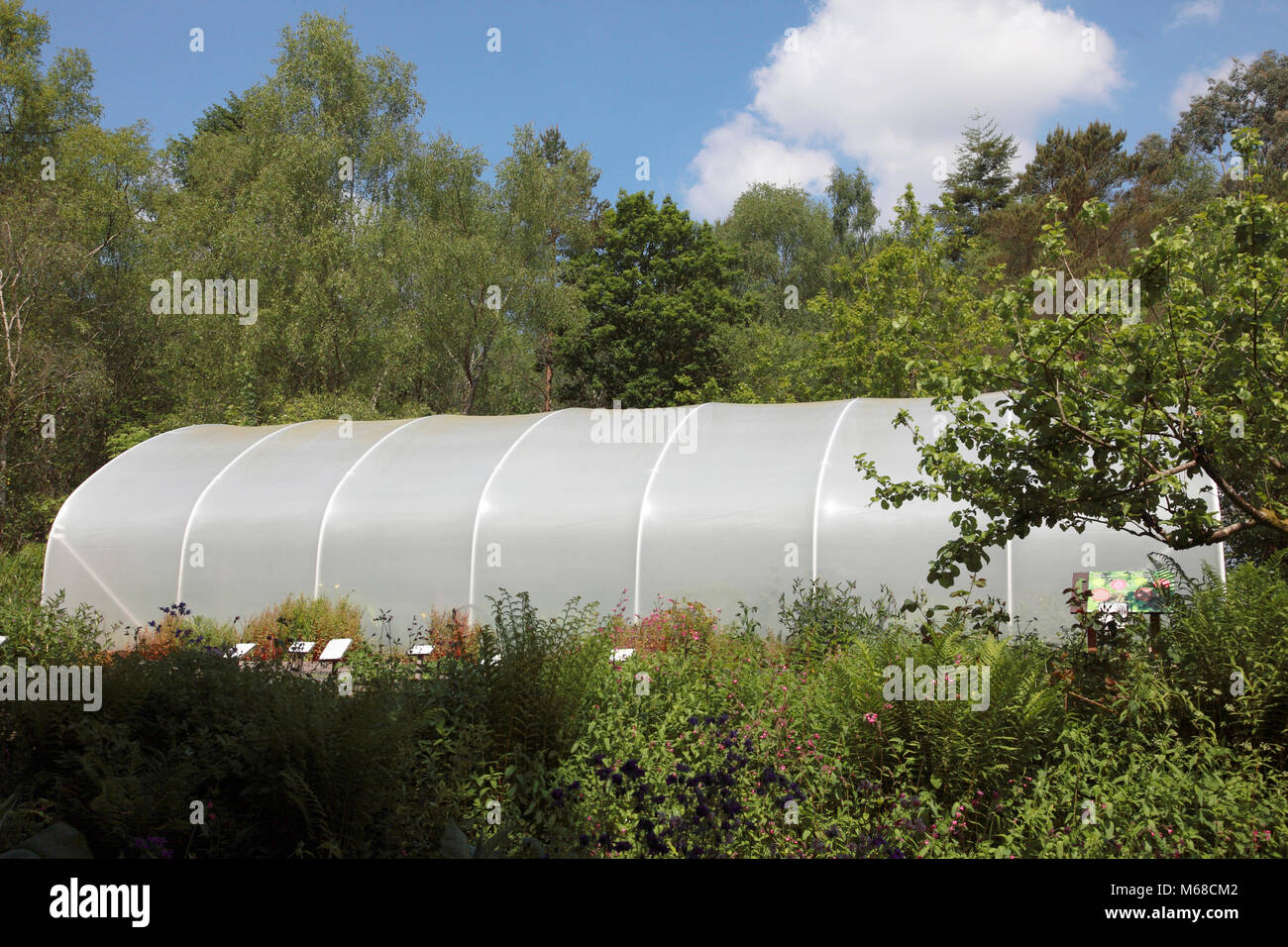 The exterior of a polytunnel at the Centre for Alternative Technology, Machynlleth Stock Photo