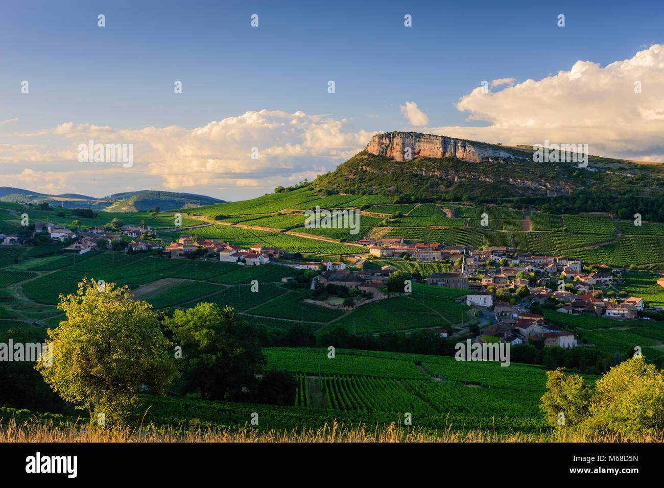 Roche de Vergisson near Rock of Solutré with Vineyards surrounding Solutre Pouilly Saône-et-Loire Bourgogne-Franche-Comté France Stock Photo