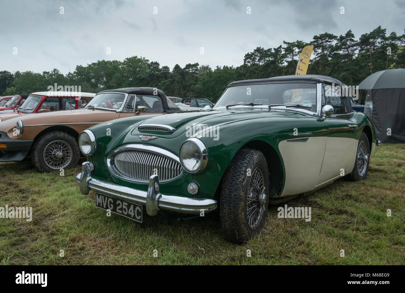 Austin Healey sports car being shown at a classic car rally held at