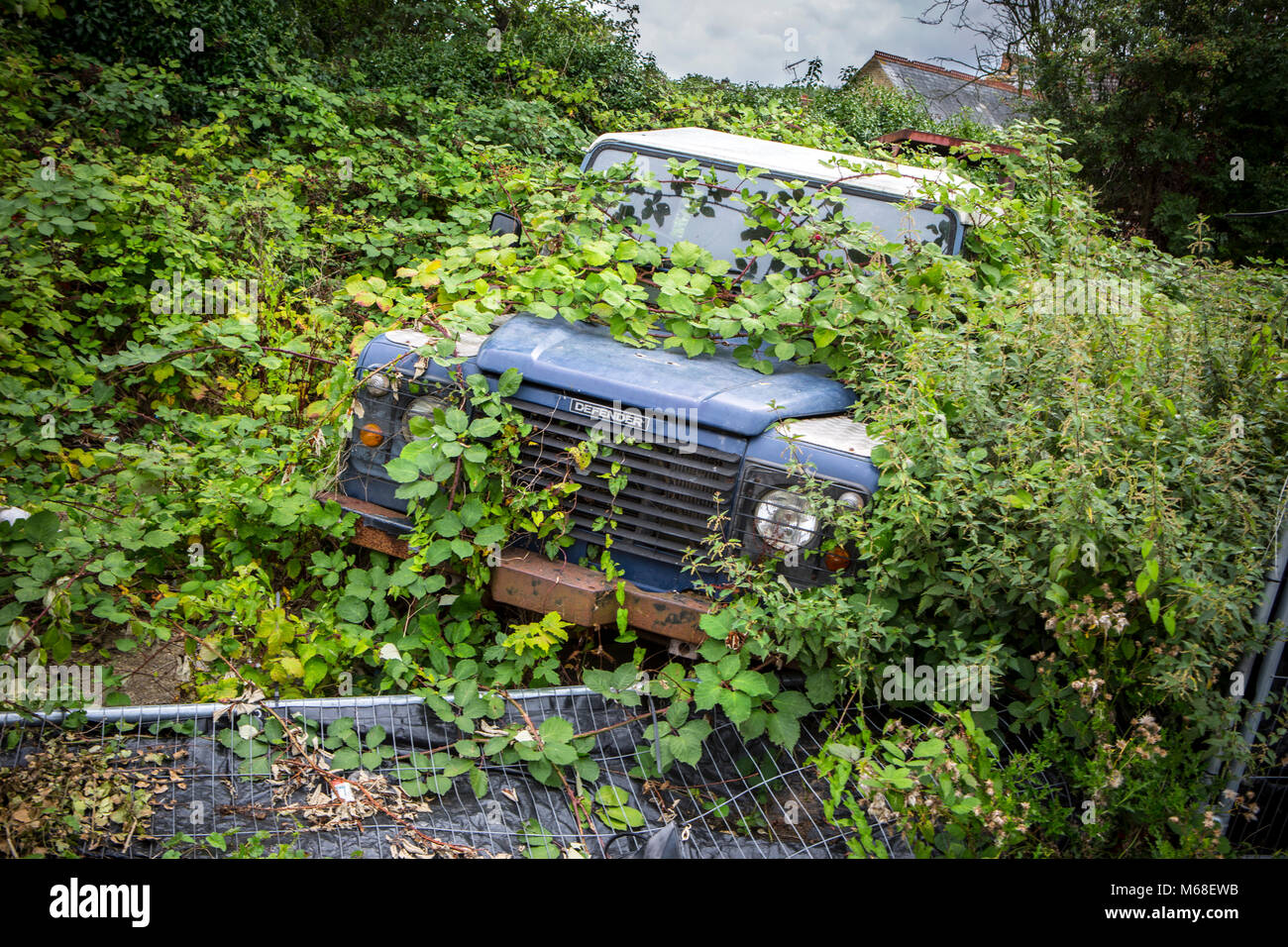 A derelict overgrown Land Rover Defender Stock Photo
