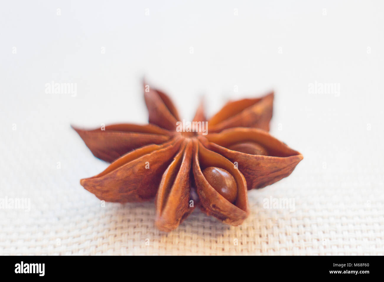 The dried anise flower lies on the table. Stock Photo