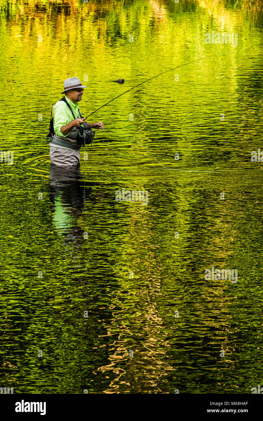 Fishing the Farmington River Barkhamsted, Connecticut, USA Stock Photo