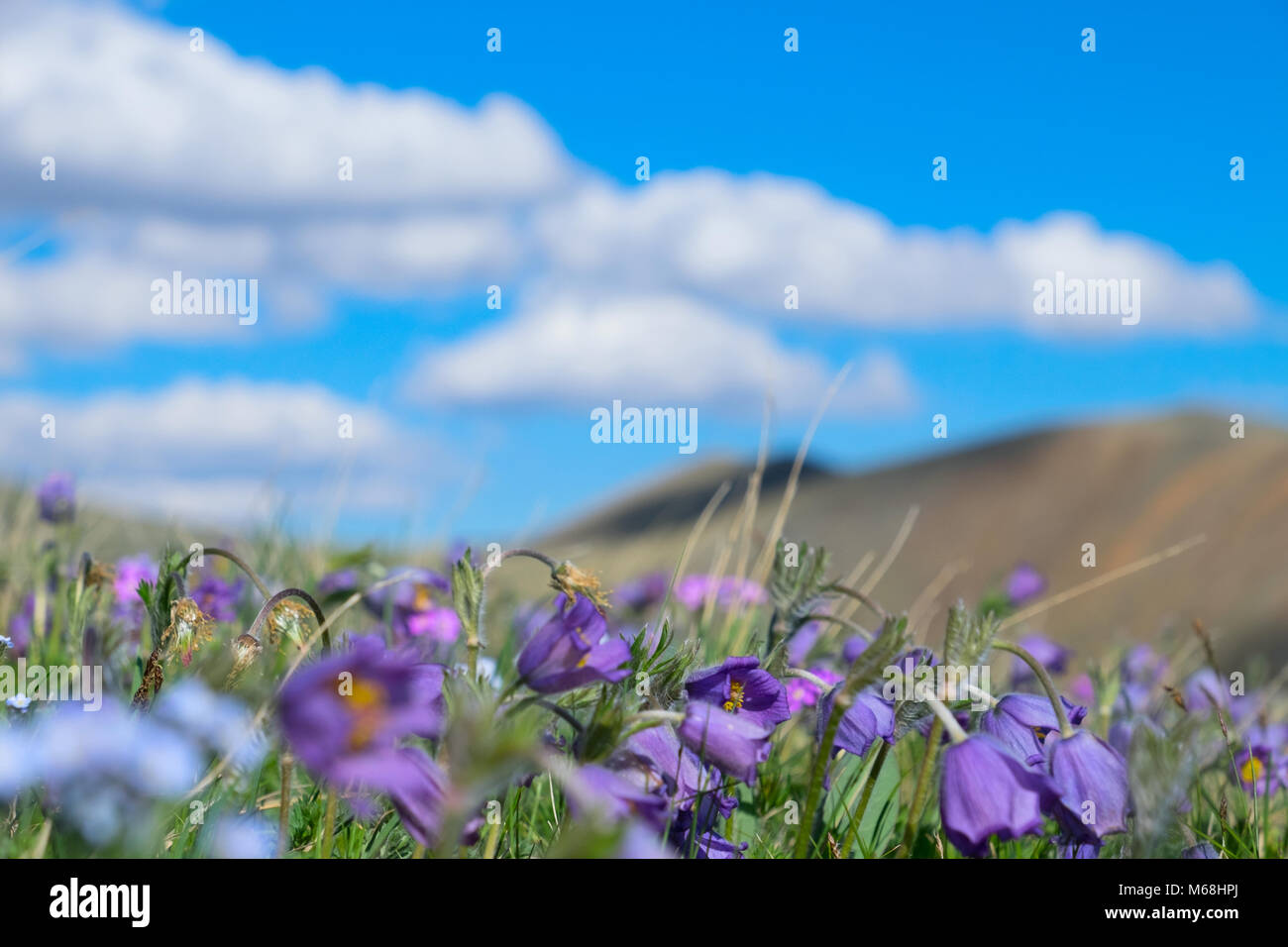 Blue sky rural scene hi-res stock photography and images - Alamy