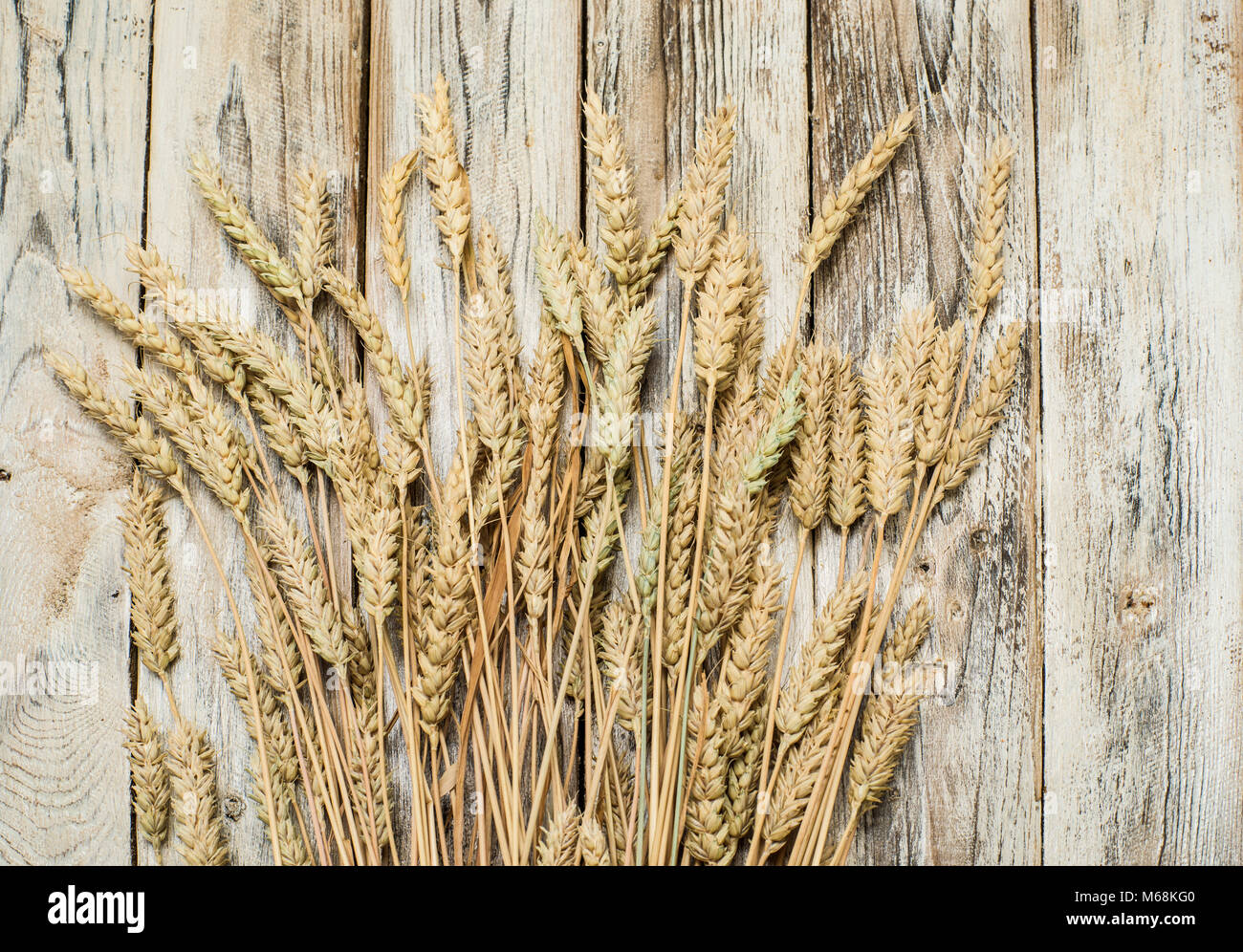 Sheaf of wheat hires stock photography and images Alamy