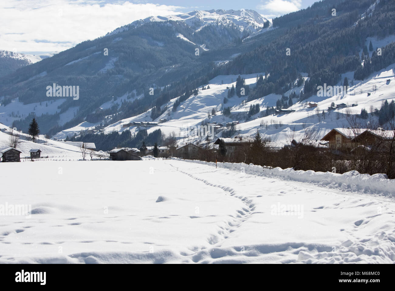 Europe Austria Alps Großarl - Winterimpressions  in fresh winter snow Stock Photo