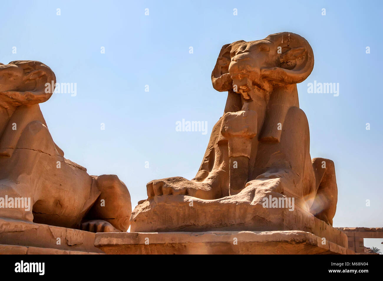 Famous sphinxes alley at Karnak Stock Photo