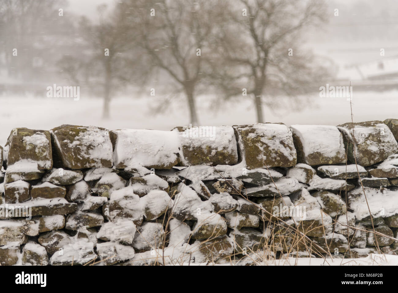 The Beast from the East has bitten, along with Storm Emma pushing up from the south.  A very cold start to March in Ingleton, North Yorkshire. Stock Photo