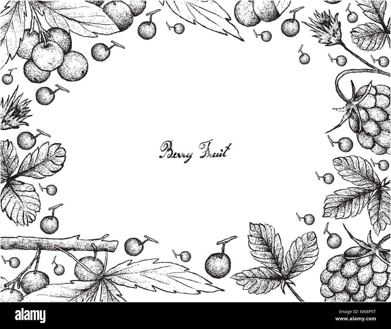Berry Fruit, Illustration Frame of Hand Drawn Sketch of Fresh Arctic Bramble, Arctic Raspberry or Rubus Arcticus and Allophylus Edulis or Chal-Chal Fr Stock Vector