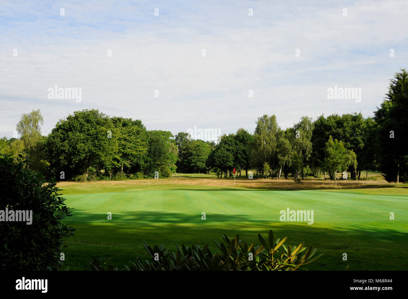 View back over plants to the 5th Green and fescue grass, Langley Park Golf Club, Beckenham, Kent, England Stock Photo