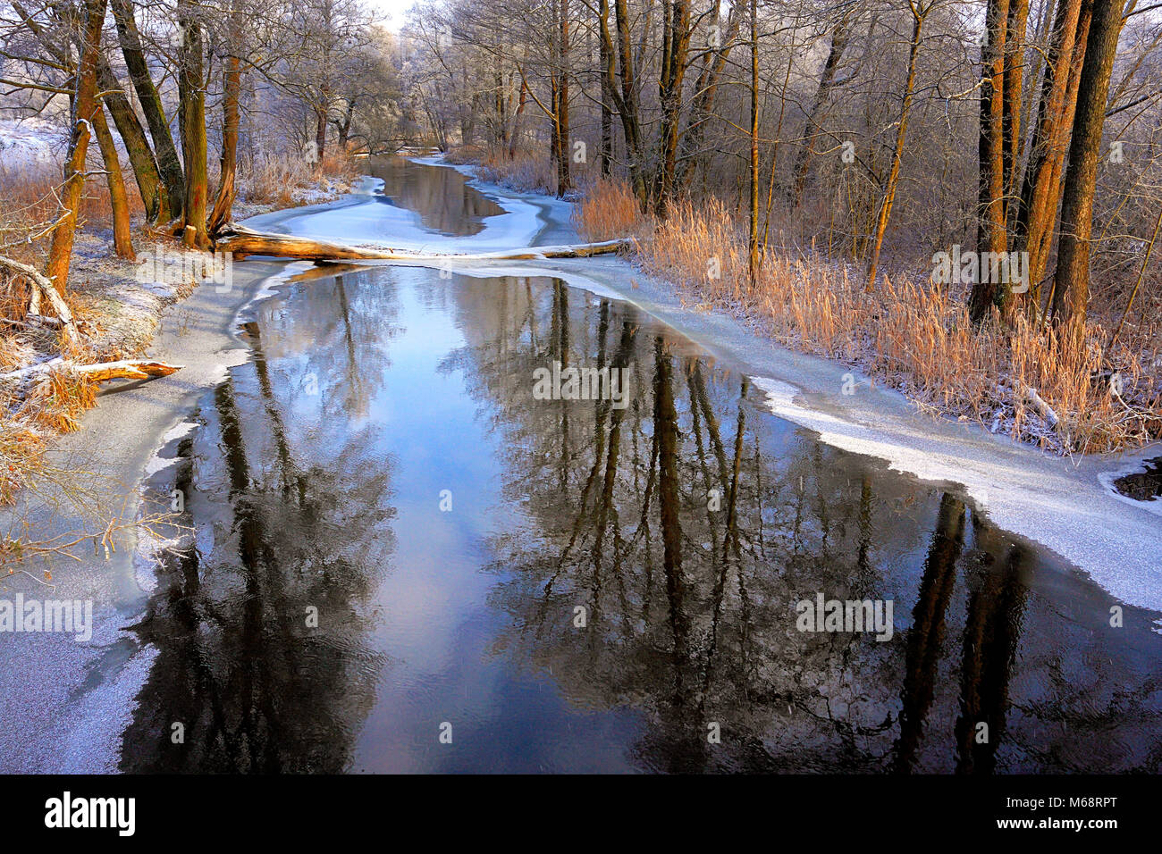 Winter landscape of woods and river covered with ice and snow in