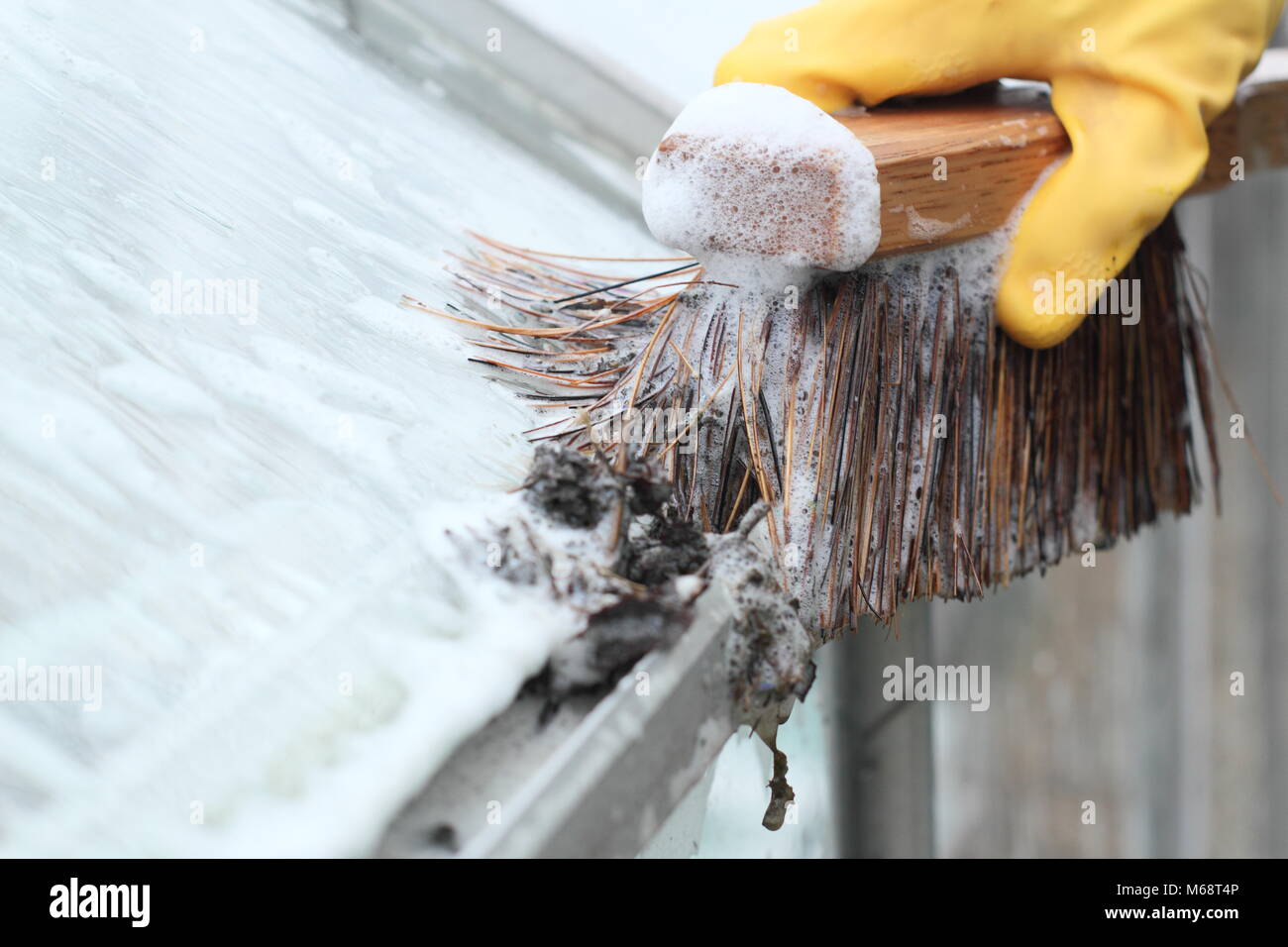Greenhouse gutters are cleared of grime and windows washed down with warm soapy water to prepare for new growing season in a garden, UK Stock Photo