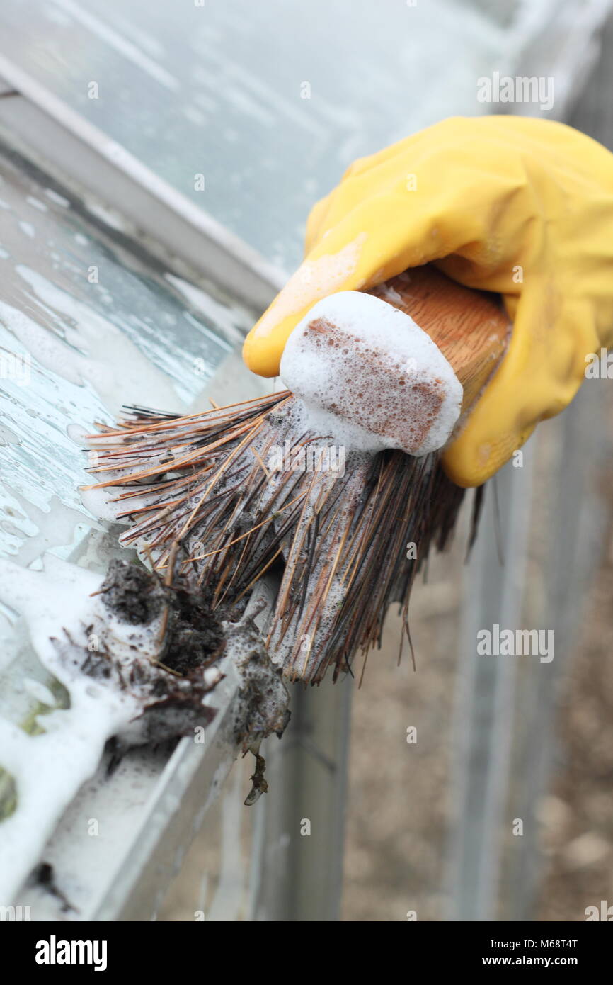 Greenhouse gutters are cleared of grime and windows washed down with warm soapy water to prepare for new growing season in a garden, UK Stock Photo