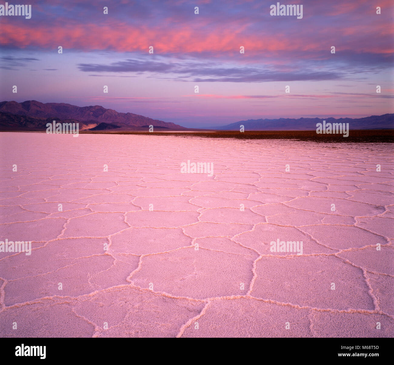 Dawn, Salt Flats, Death Valley National Park, California Stock Photo
