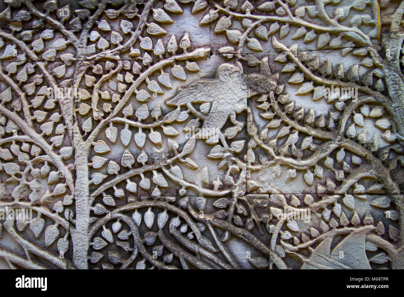 Detail of bird in tree carving on a wall at Angkor Wat, Cambodia Stock Photo