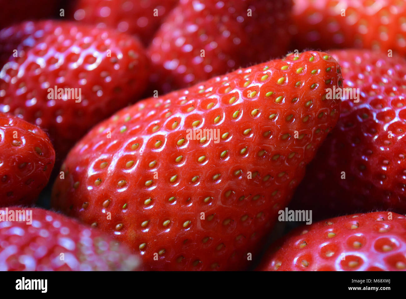 Soft summer fruit ripe strawberries hi-res stock photography and images ...