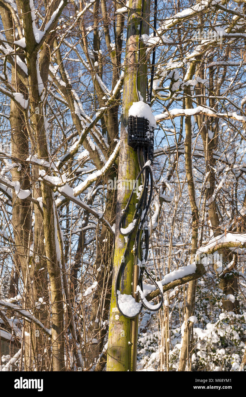 Frozen snow covered telecommunication phone junction box on pole covered in snow causing network broadband problems in winter Stock Photo