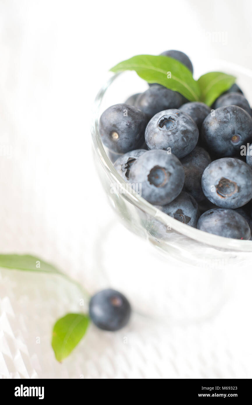 Blueberries in glass bowl Stock Photo