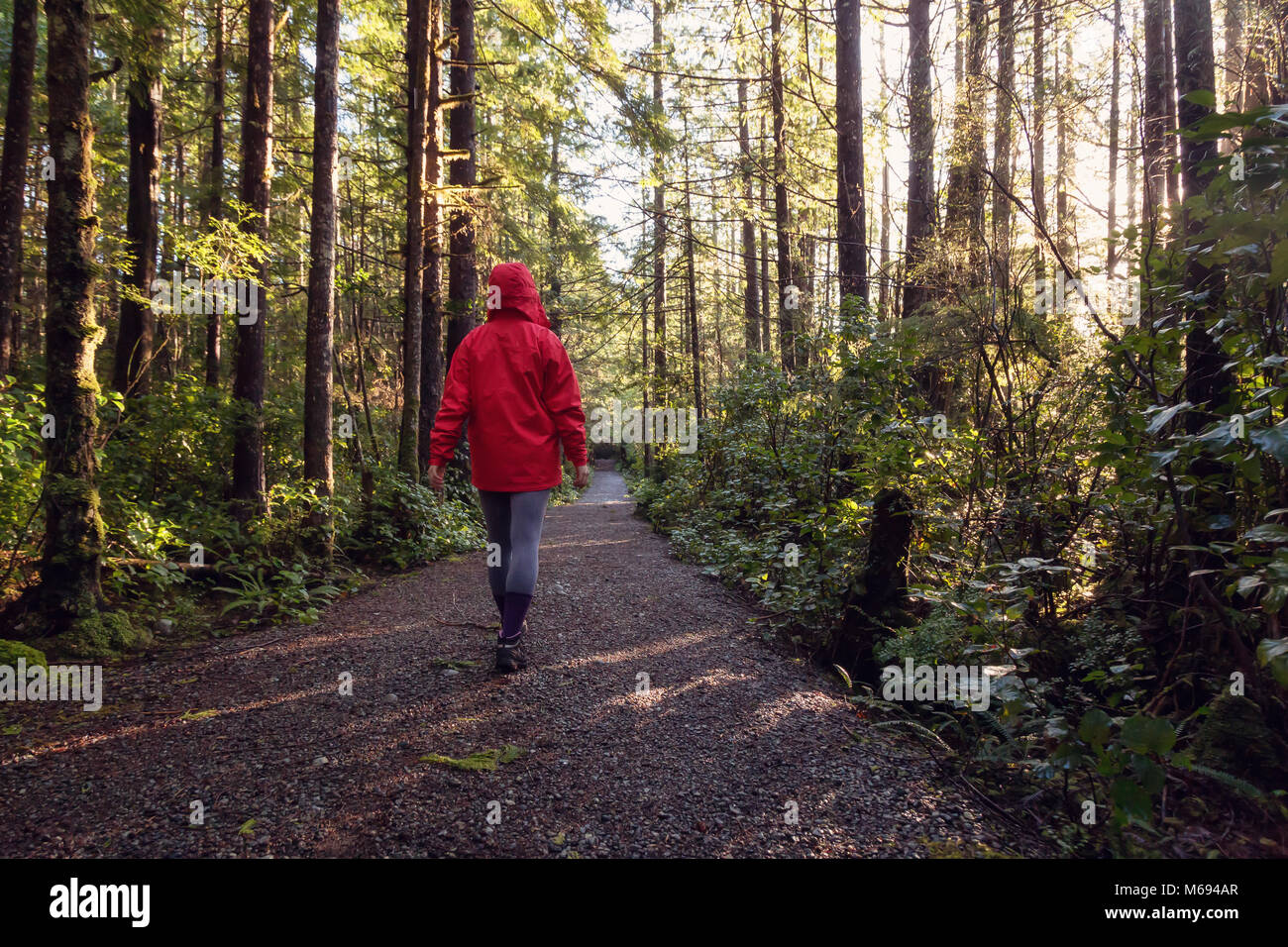 Girl wearing a bright red jacket is walking the the beautiful woods