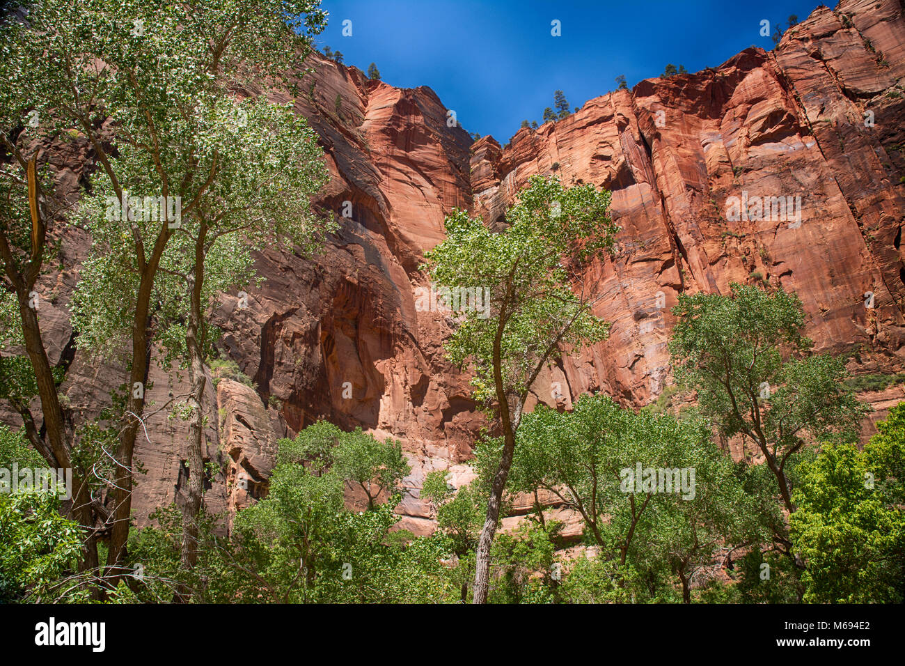 The tour guide mentioned that this was a Indian watch site at Zion. Stock Photo