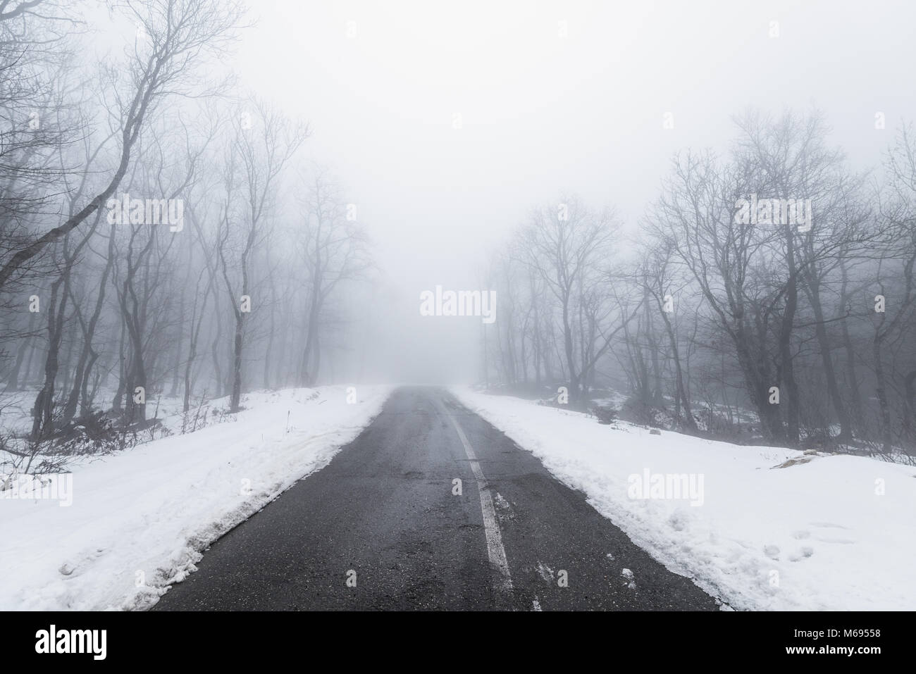 Road in foggy snowy forest Stock Photo