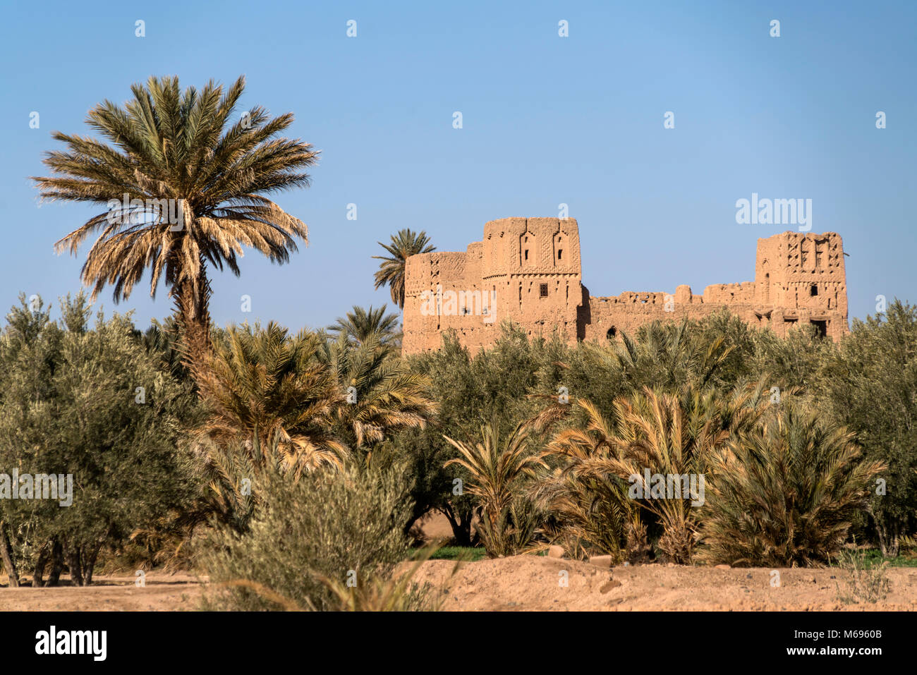 Kasbah in der Oase Skoura, Ouarzazate, Königreich Marokko, Afrika  |  Kasbah at Skoura oasis, Ouarzazate, Kingdom of Morocco, Africa Stock Photo