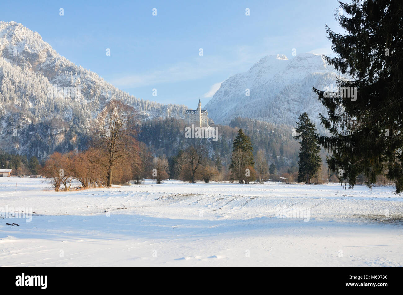 Neuschwanstein Castle Stock Photo