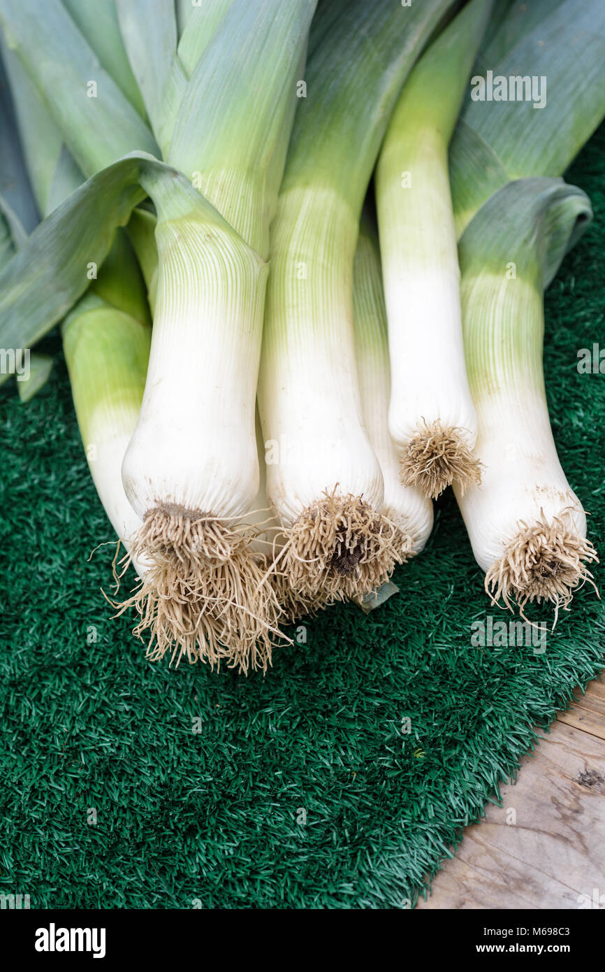 raw leek on grass and wood Stock Photo