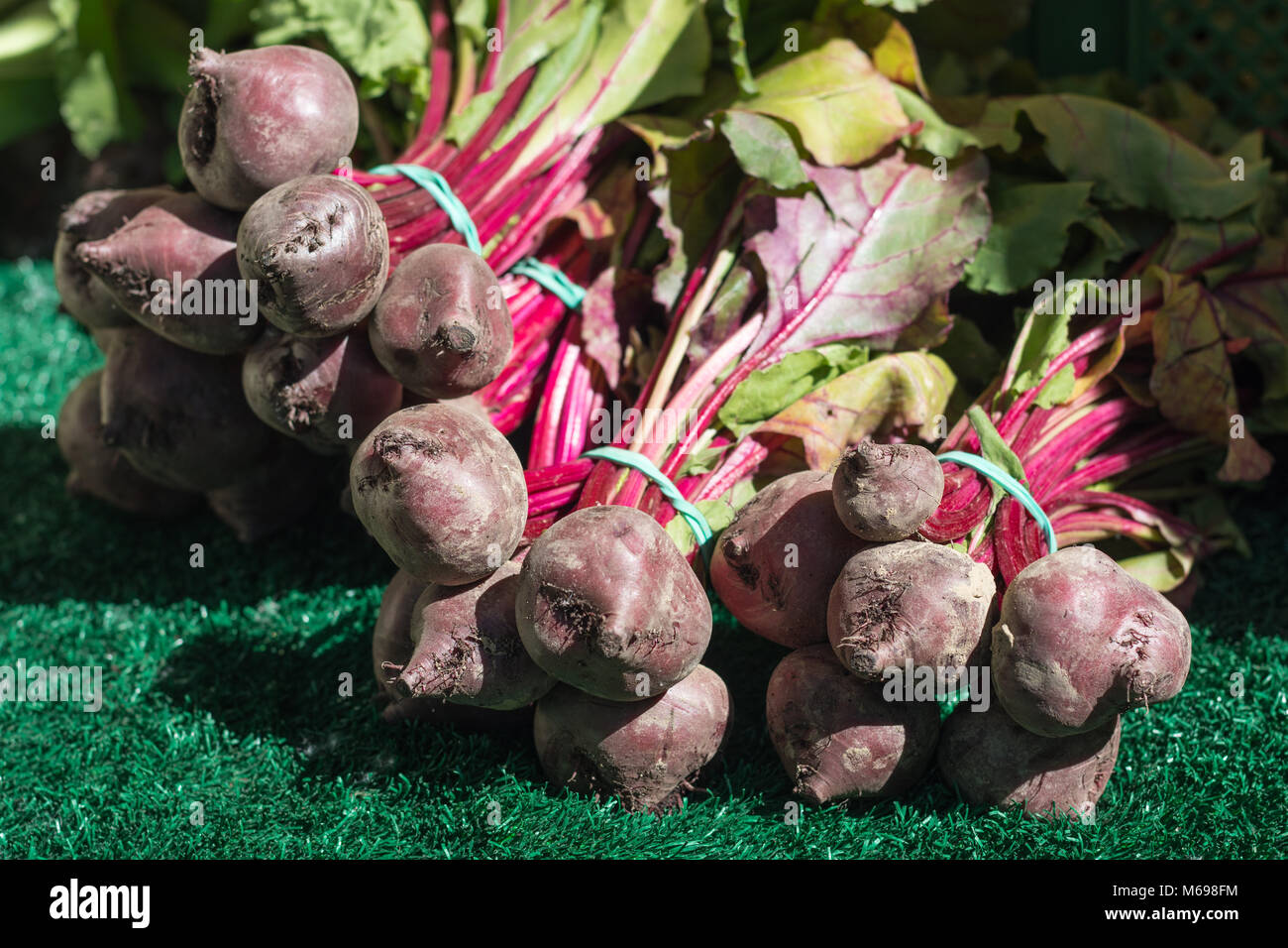 Grass root hi-res stock photography and images - Alamy