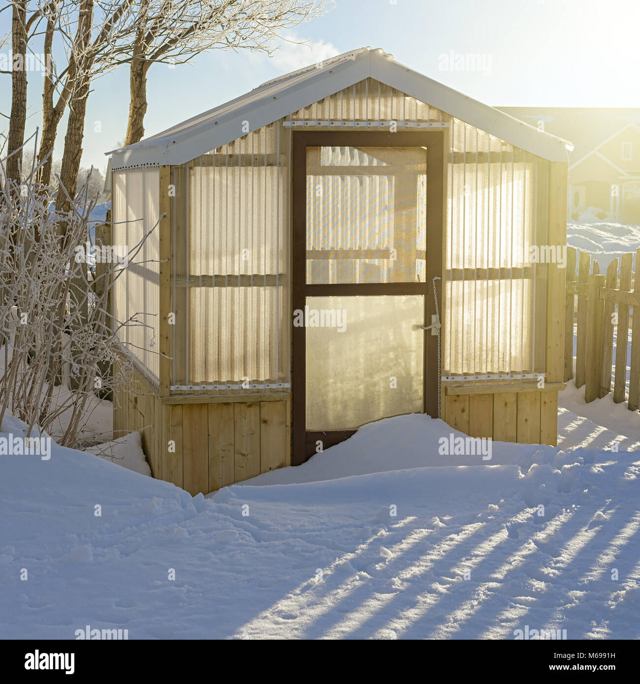 Sunlight Shining Through A Frosty Backyard Greenhouse Stock Photo