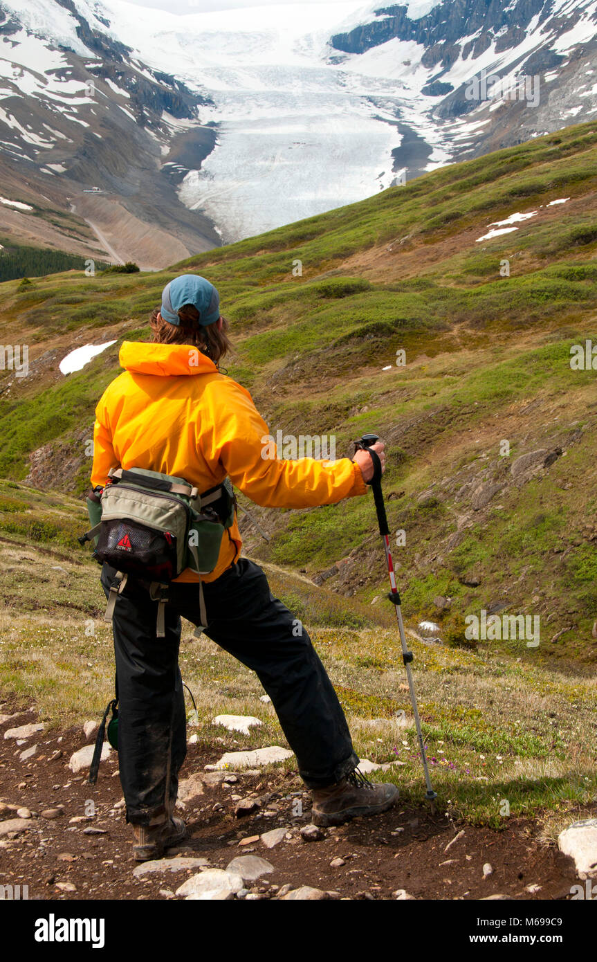 Athabasca Glacier from Wilcox Pass Trail, Jasper National Park, AB