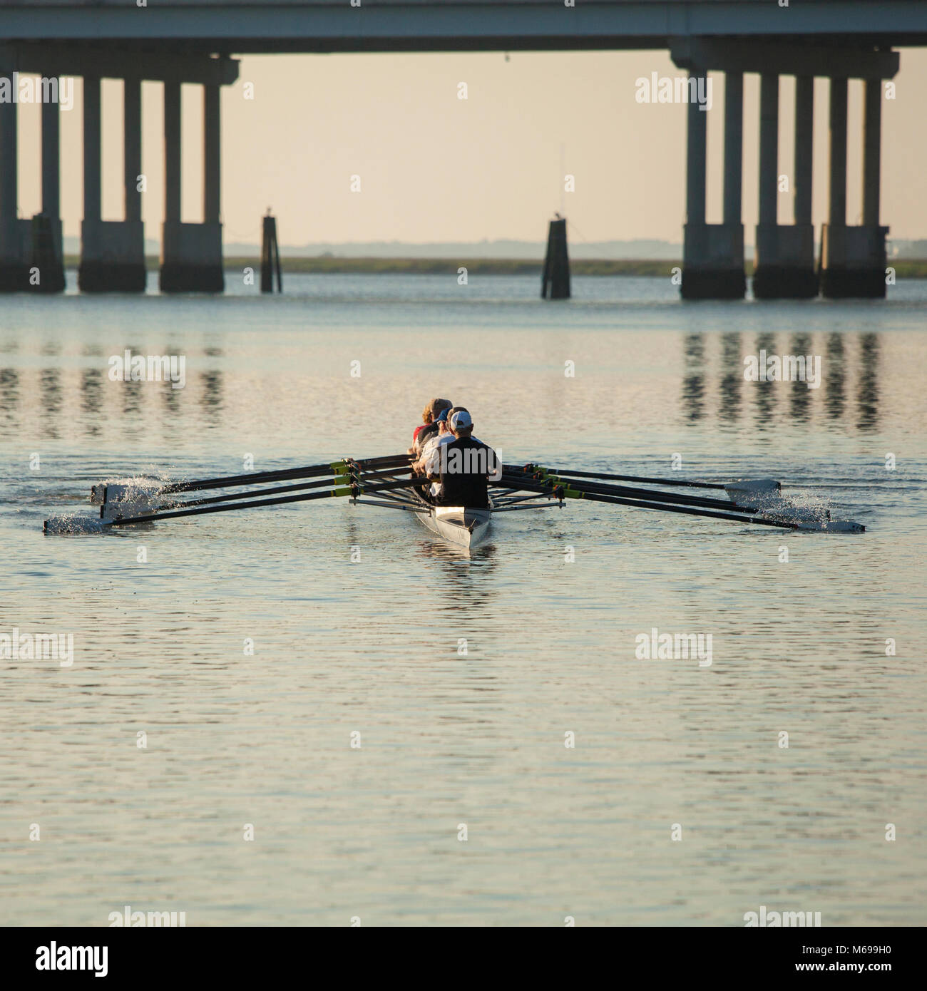 skulls rowing team rowing on open water with bridge in background Stock