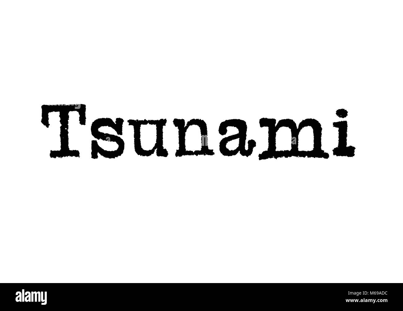 Is the word tsunami japanese