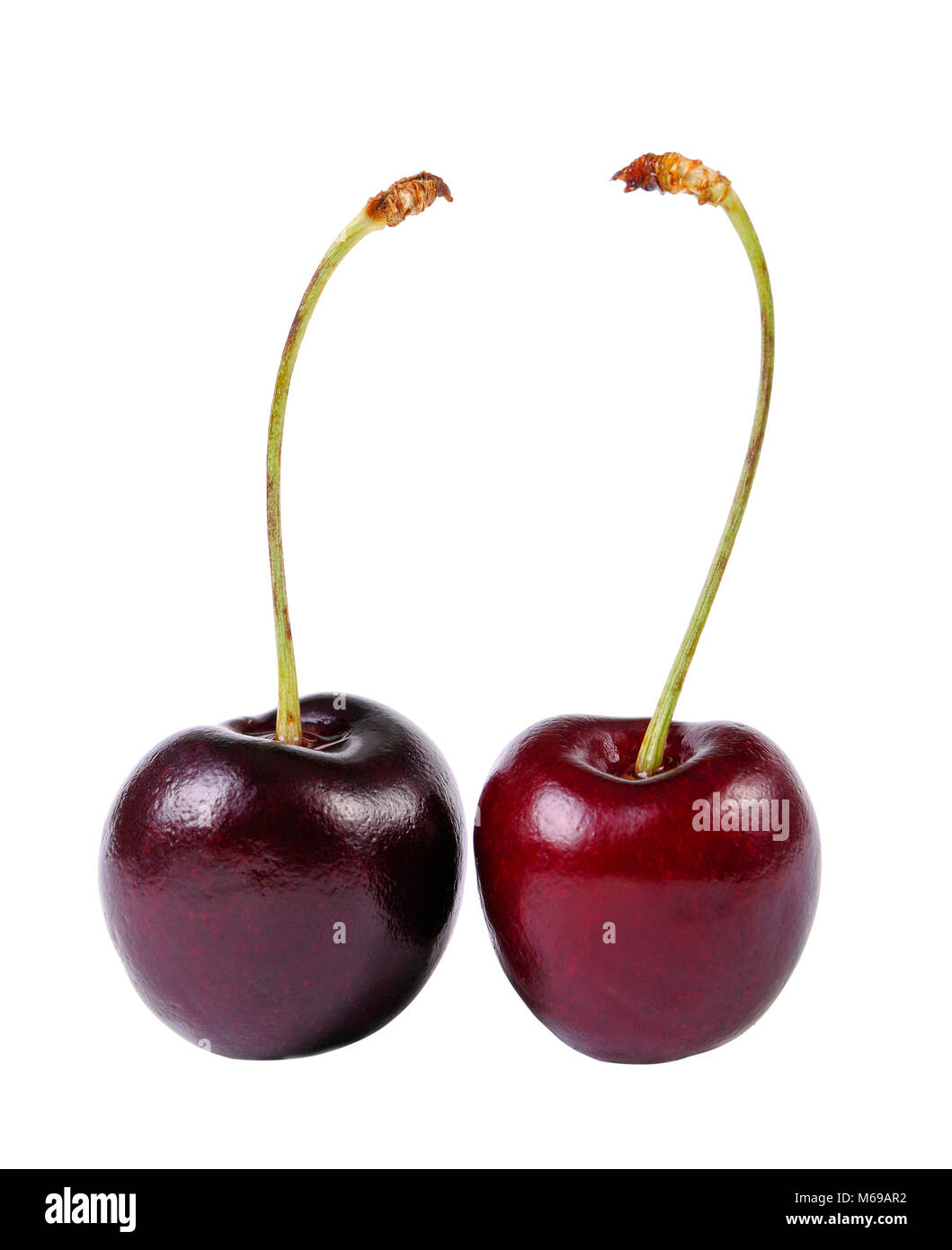 Two sweet cherries isolated on white Stock Photo - Alamy