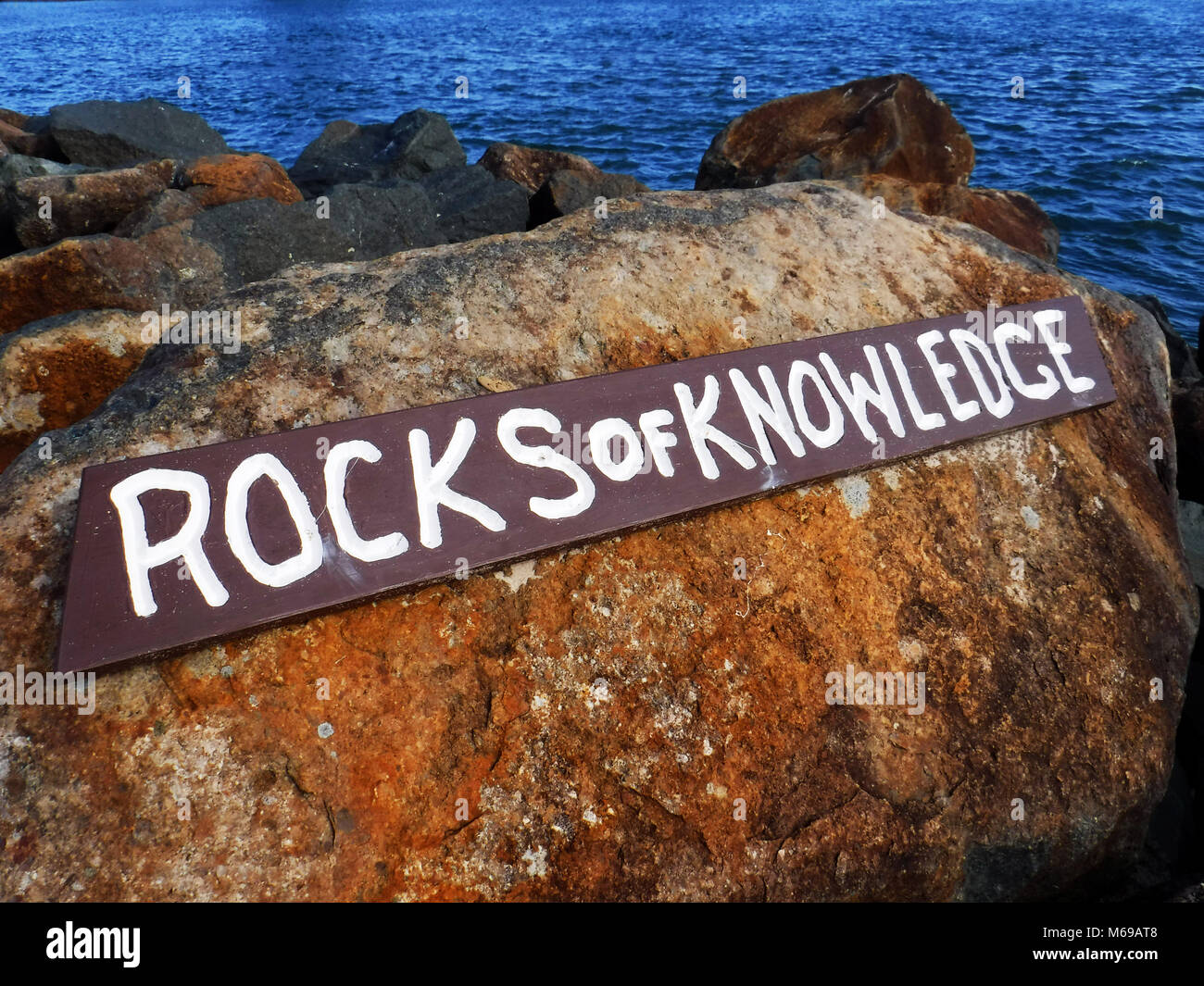 Intelligent. Sign on rocks at Forster NSW Australia Stock Photo