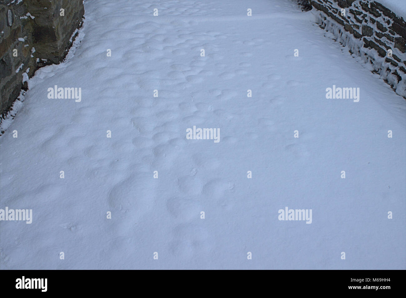 Pristine undisturbed fresh snow on a sidewalk or footpath after overnight snowfall. Stock Photo