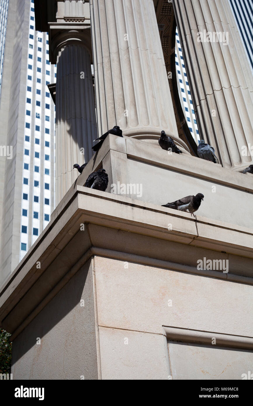 Pigeons resting on Millennium Monument, viewed from below Stock Photo