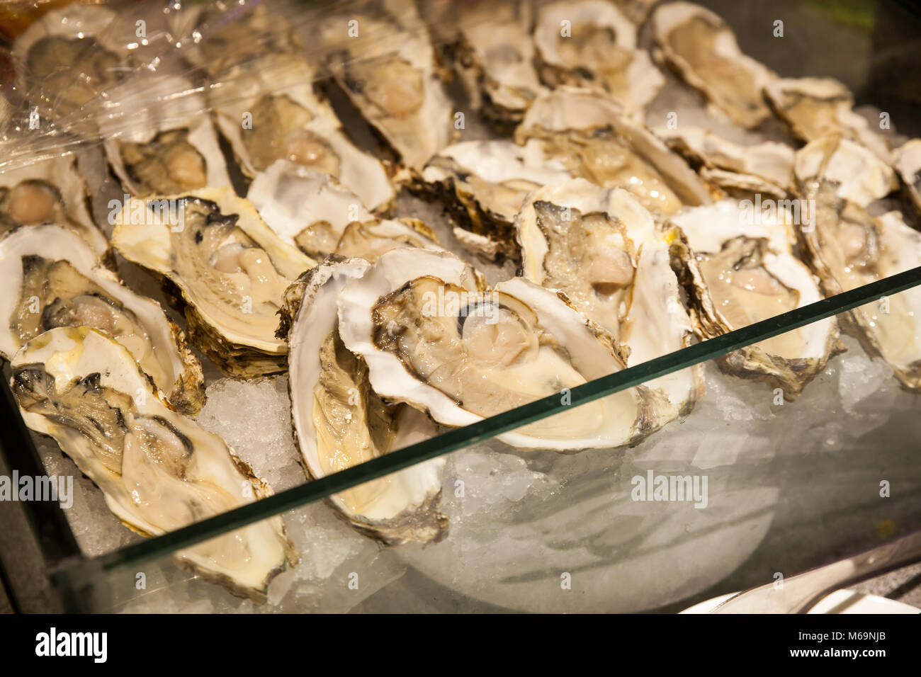 Oysters，Frozen oysters, frozen food Stock Photo Alamy