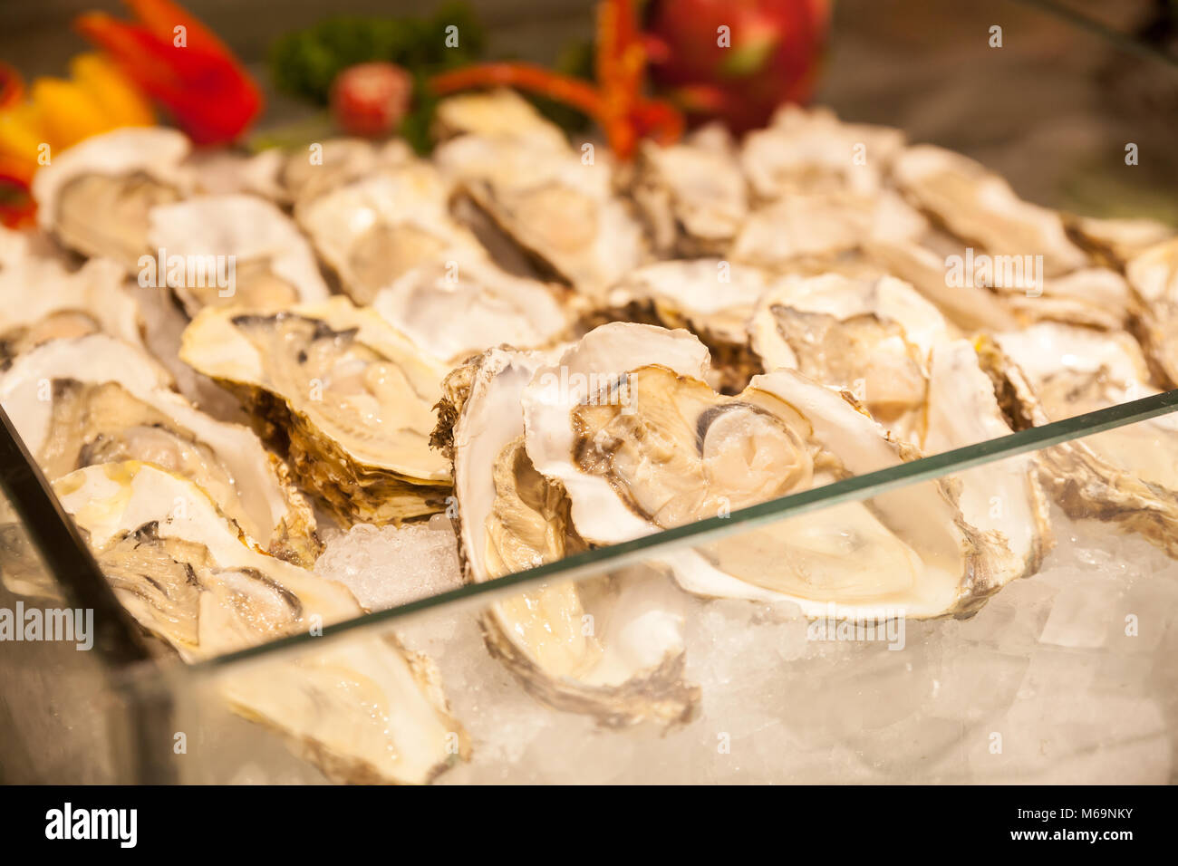 Oysters，Frozen oysters, frozen food Stock Photo Alamy