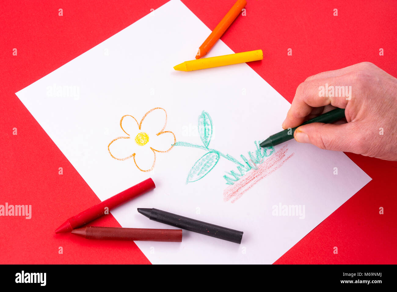 a flower drawn on a sheet of white paper with wax crayons Stock Photo