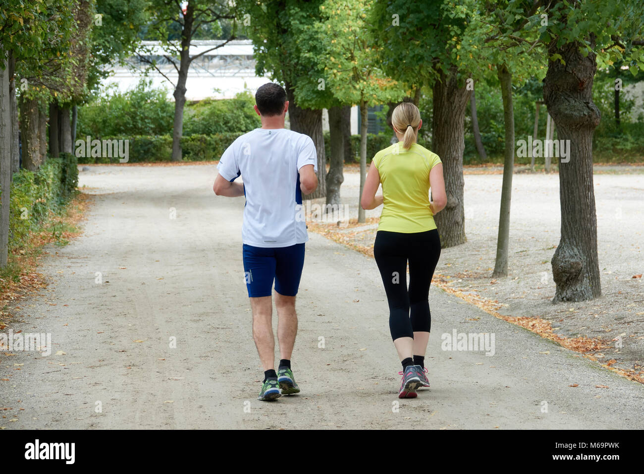 Husband and wife on a morning run in the park. View from the back. Stock Photo