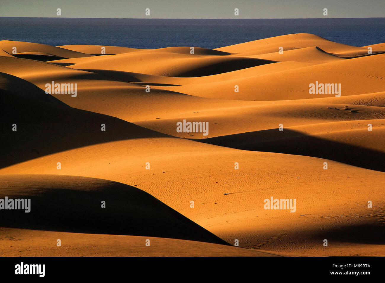 Gran Canaria, Duene, Duenen, Maspalomas, Sandduenen, Meer, Stock Photo