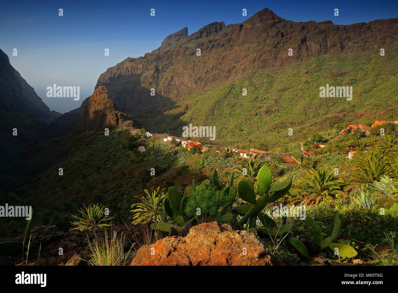 Canary Islands, Teneriffa, Masca Stock Photo