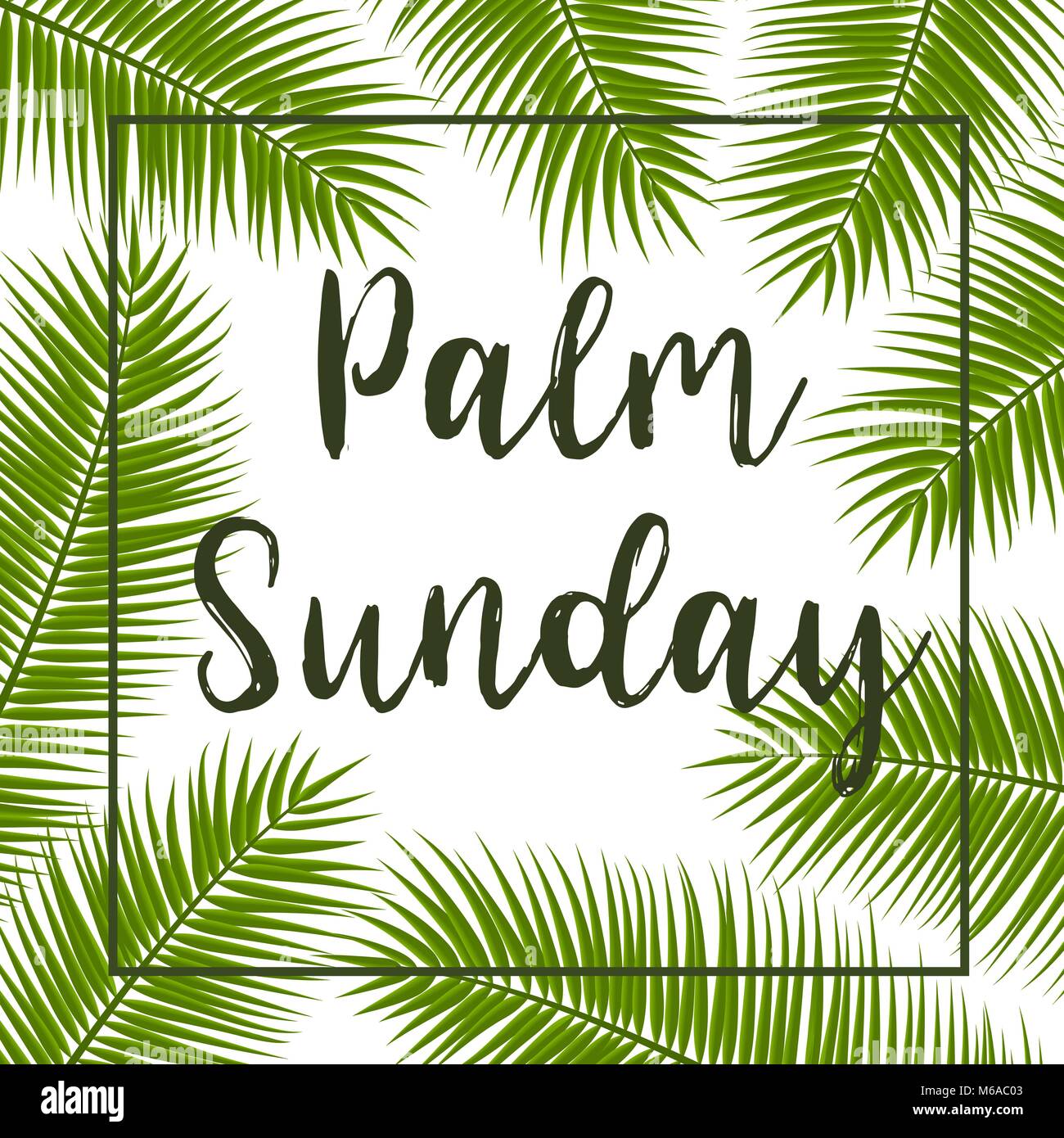Green Palm leafs vector square frame. Vector illustration for the Christian holiday. Palm Sunday text handwritten font. Stock Vector